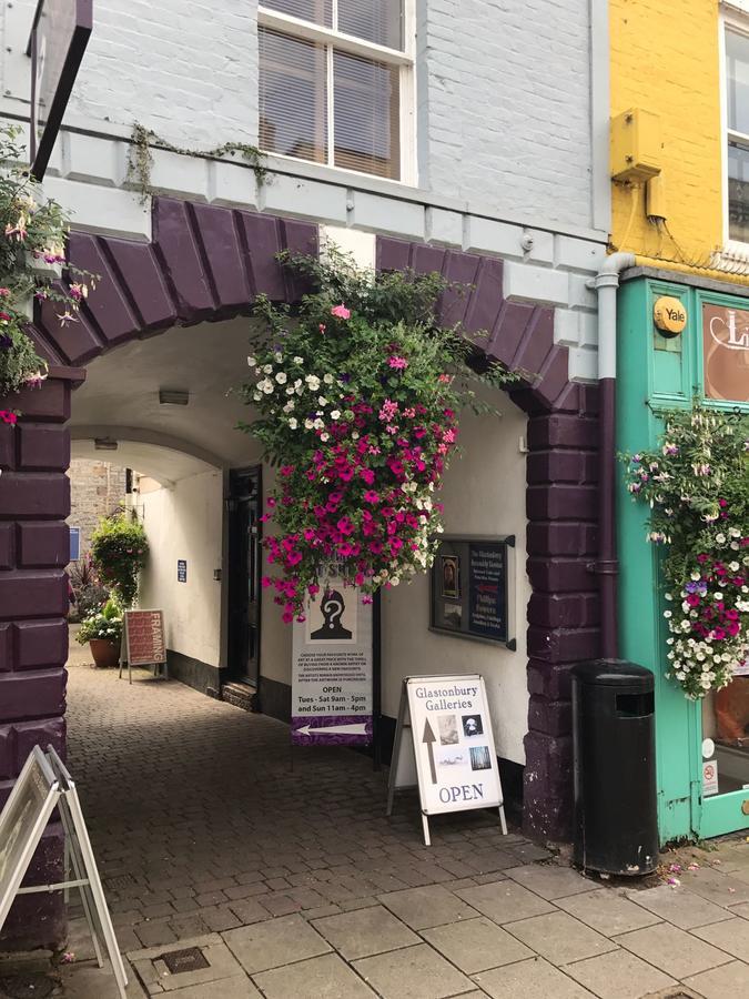 8 Owls B&B Glastonbury Exterior photo